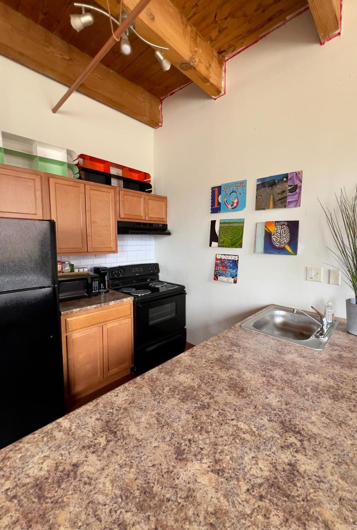 420 Friendly King Downtown Loft Free Parking & Wifi Détroit